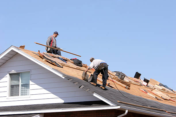 Best Sheet Metal Roofing  in Vanceburg, KY